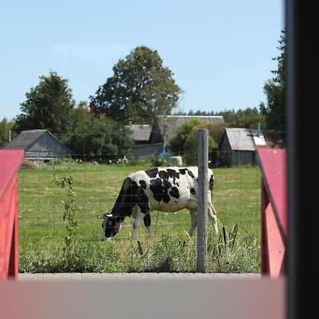 Karpu Dikis-Kempings Viesites Jaunmārupe Exteriör bild